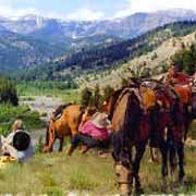 Randonnée équestre. Sangre de Cristo Pack Trips, Colorado USA.