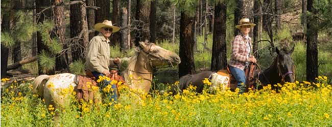 Randonnee en autonomie dans le Gila, Nouveau Mexique, USA
