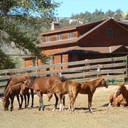 Séjour équestre en ranch aux abords des Pryor Mountains, Wyoming USA.