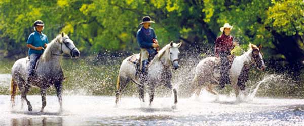 RandonnÃ©e Ã  cheval dans les Ozark Highlands sur des Missouri Foxtroters, Missouri, USA.