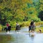 Rando cheval aux Etats-Unis, ranch au Missouri