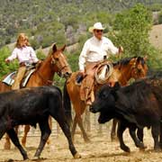 Séjour en ranch de bétail dans la Tonto Forrest, Arizona, USA
