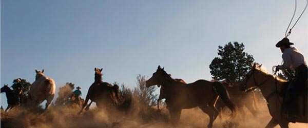 SÃ©jour Ã©questre en ranch aux abords de Tombstone, Arizona, USA