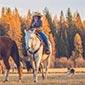Rando cheval aux Etats-Unis, ranch SELKIRK en Idaho
