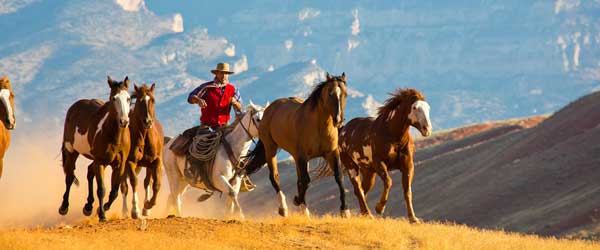 Séjour au Ranch de Greybull, Wyoming, USA