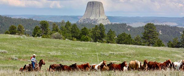 SÃ©jour Ã©questre dans un ranch de travail aux abords de Devil's Tower, Wyoming