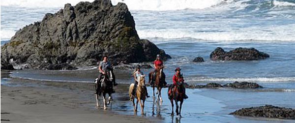 Randonnée cheval. Redwood Coast, Californie, USA.