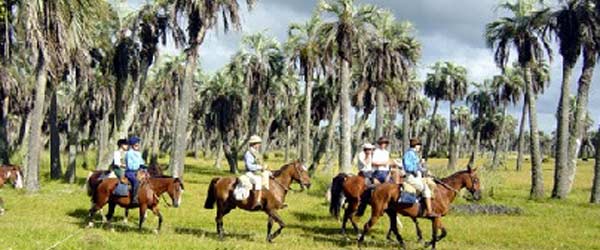 Randonne questre des estancias  la Laguna Negra, Uruguay.