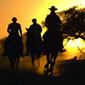Rando cheval en Afrique du sud, au ranch triple B