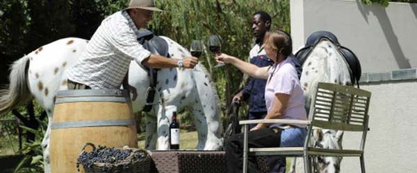 RandonnÃ©e Ã©questre sur la route des vins, Afrique du Sud 