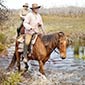 Rando cheval en Afrique du sud cote walker