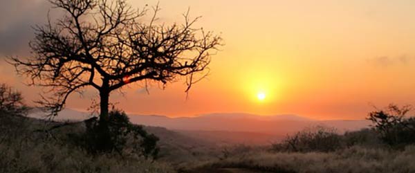 Safari Ã  cheval, Big Five en Afrique du Sud