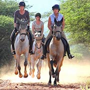 Safari à cheval, Big Five en Afrique du Sud