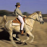 Séjour randonnée équestre safari en lodge de luxe, Afrique du Sud.