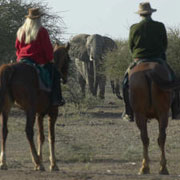 Big-Five Safari randonnée équestre au Botswana et en Afrique du Sud.