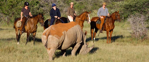 Safari randonnÃ©e Ã  cheval, Lodge colonial dans le Waterberg, Afrique du Sud.