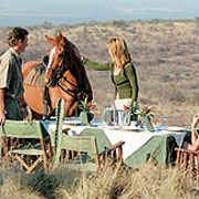 Safari randonnée à cheval, Lodge colonial dans le Waterberg, Afrique du Sud.