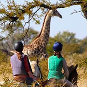 Safari équestre, séjour en lodge, Zimbabwe
