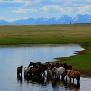 Randonnée cheval. Lac Khuvsugul, la perle bleue de Mongolie.