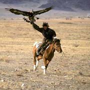 Randonnée équestre, Spécial Festival des Aigliers, Mongolie