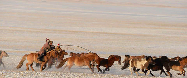 Randonnée à cheval. Magie hivernale dans les monts Khenti, Mongolie