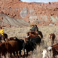 Rando cheval aux Etats-Unis, ranch Ã  Escalante en Utah